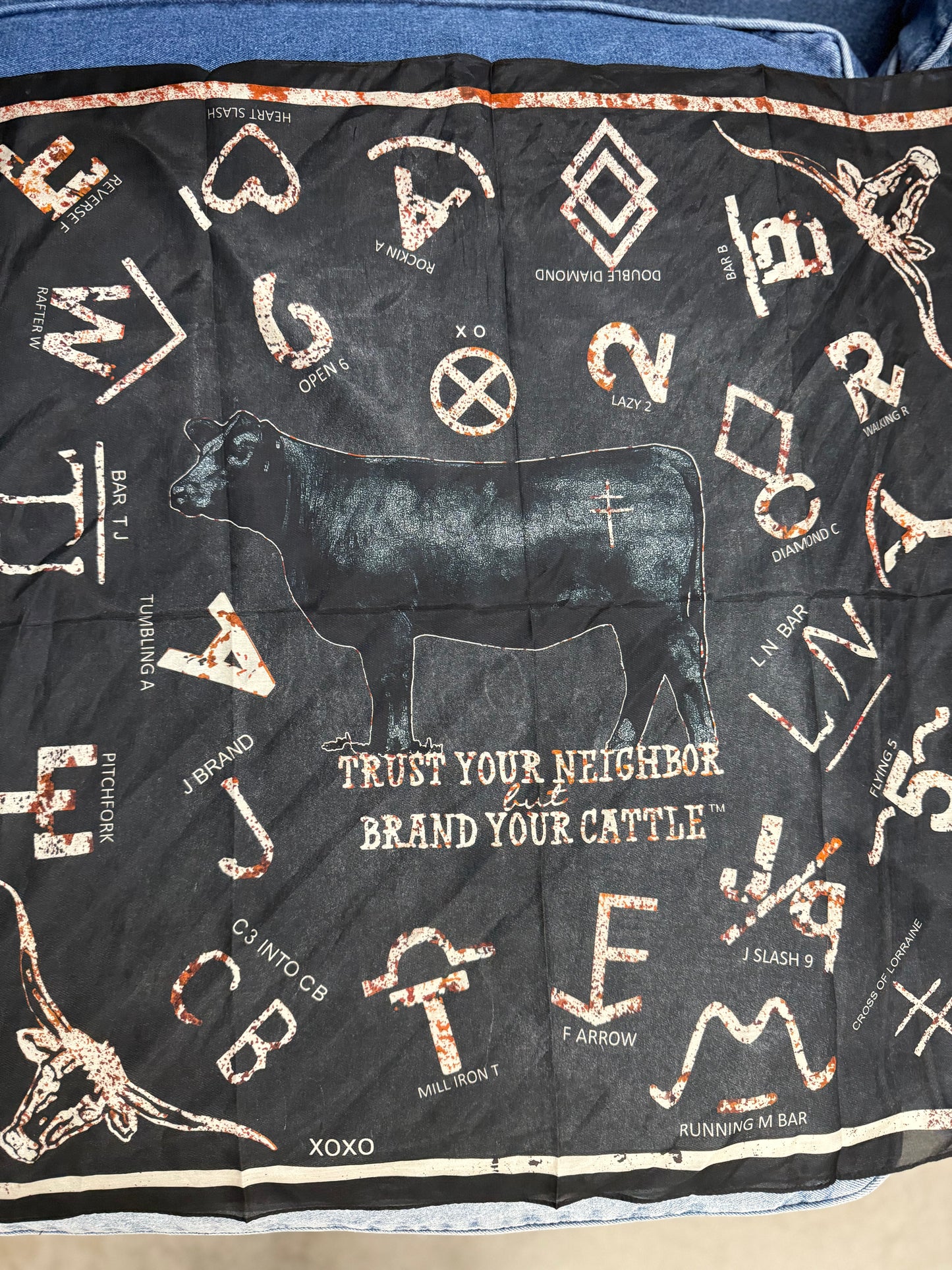 Cattlebrands Shorty Scarf
